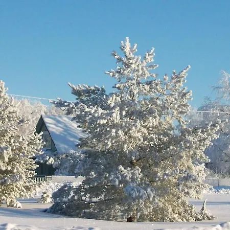 Guest house Kelluka House