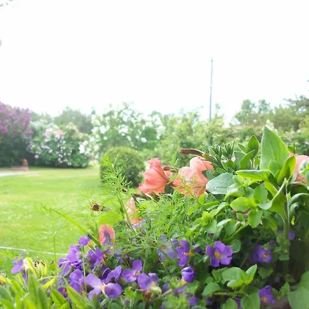 Kelluka House Guest house *