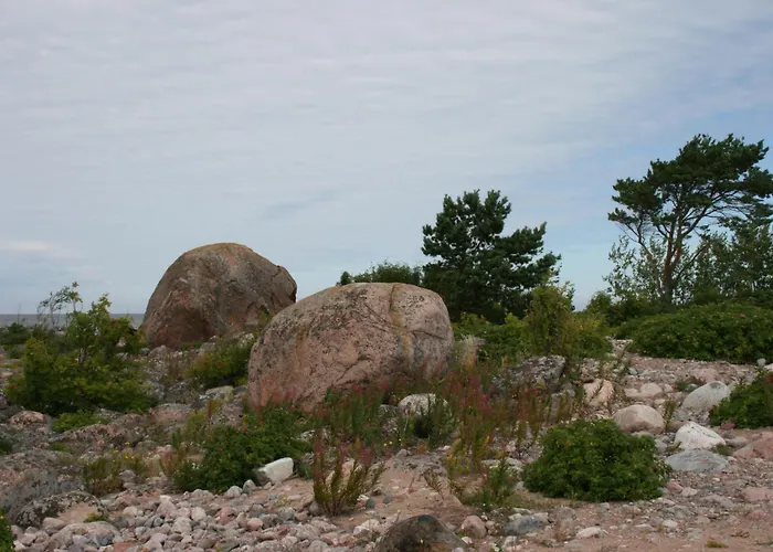 Kelluka House 3* Parispea