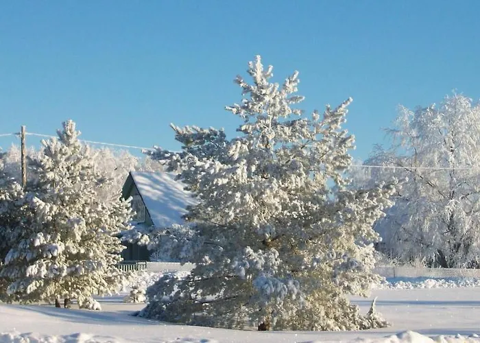 Guest house Kelluka House