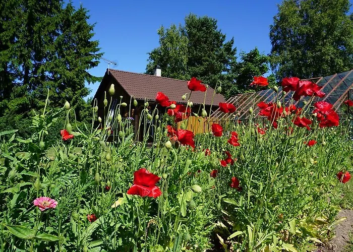 Guest house Kelluka House Parispea