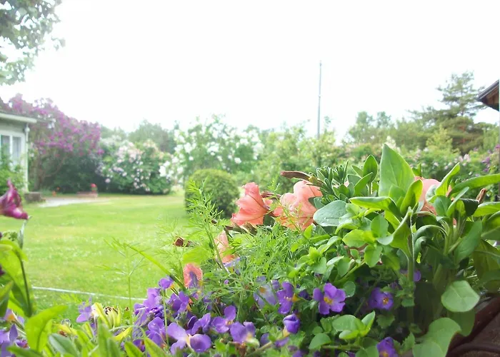 Kelluka House Guest house 3*